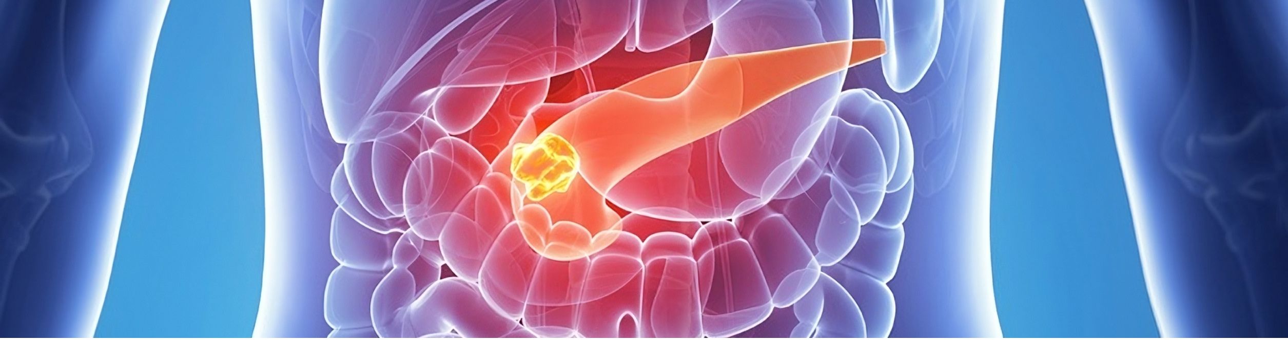 picture of pancreas